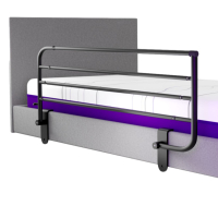 iCare Full Length Side Rail